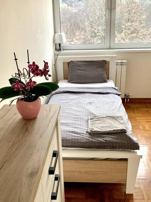 Sunkissed Apartment Beograd Ngoại thất bức ảnh